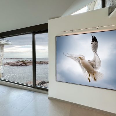 918BD5A0-33CF-4782-BBF6-7FA3D79F5342 1