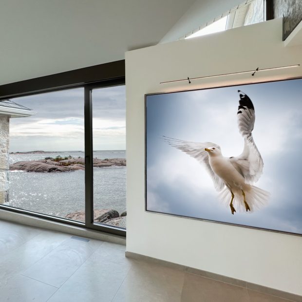 918BD5A0-33CF-4782-BBF6-7FA3D79F5342 (3)