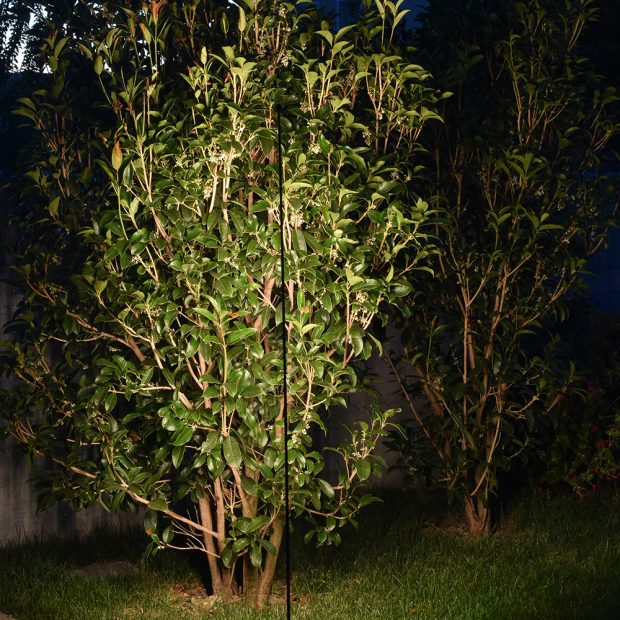 B-LIGHT_GARDEN-RAZOR_DETT-2_11032024-1