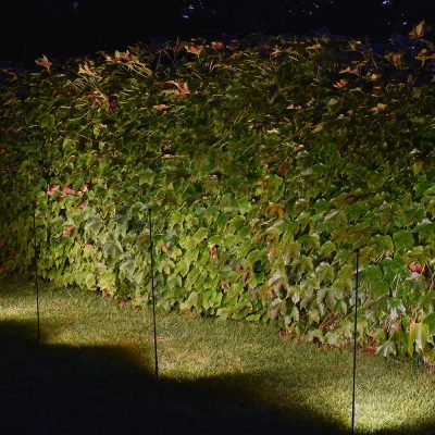 B-LIGHT_GARDEN-RAZOR_DETT-3_11032024