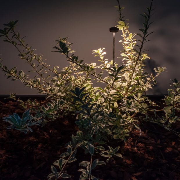 B-LIGHT_MINI-TONDO_DETAIL_2_06032024-3