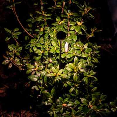 B-LIGHT_MINI-TONDO_DETAIL_3_06032024